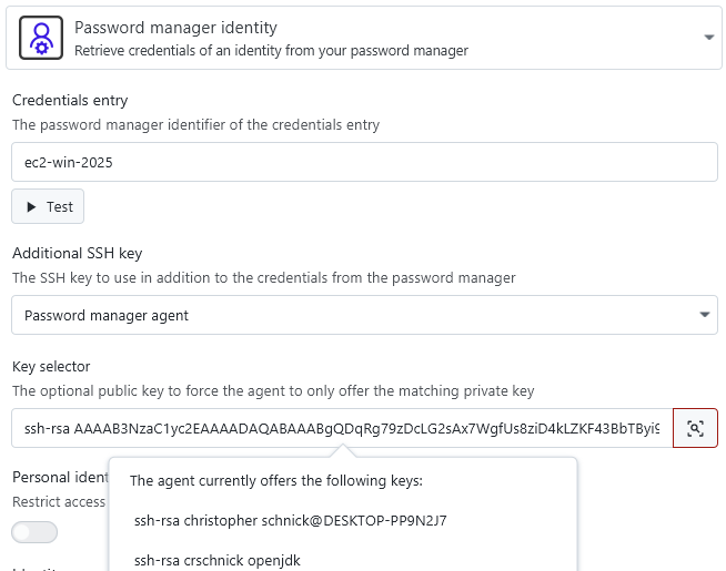 Password Manager Agent